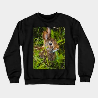 Cute Wild Bunny Hiding in the Grass Photograph Crewneck Sweatshirt